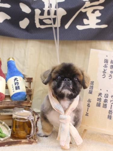 20240630スピカくん